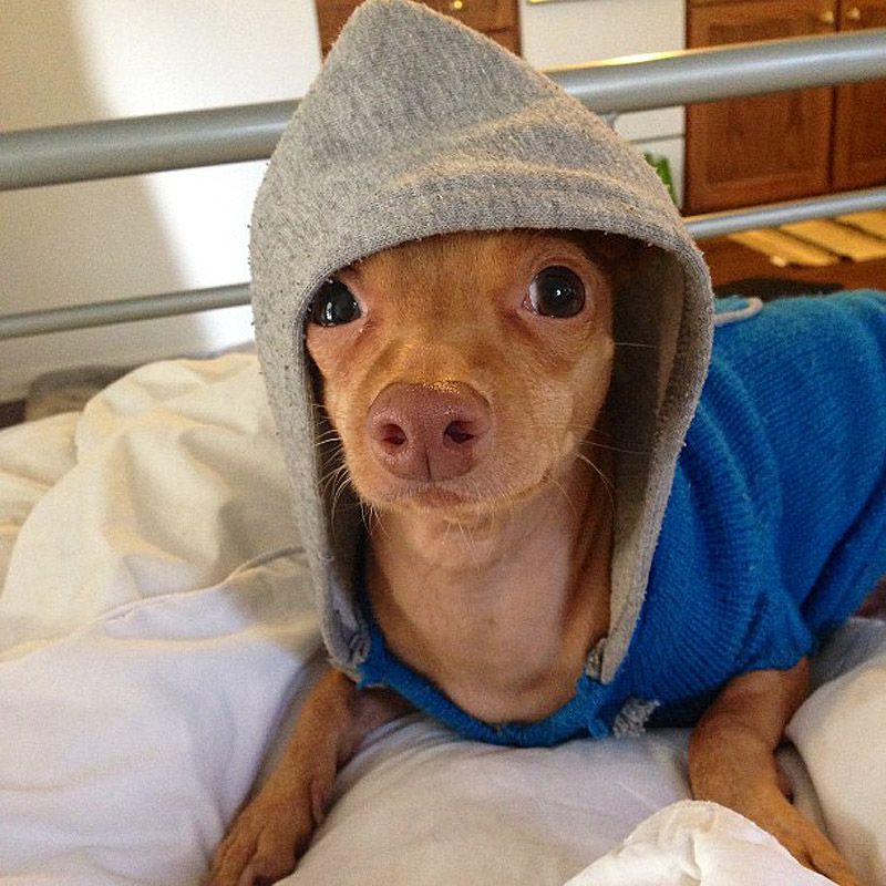 43 самых умилительных Инстаграма 2013 года 43 самых умилительных Инстаграма 2013 года