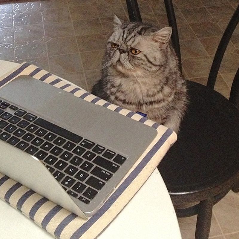 43 самых умилительных Инстаграма 2013 года 43 самых умилительных Инстаграма 2013 года