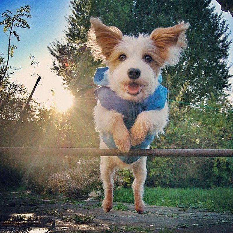 43 самых умилительных Инстаграма 2013 года 43 самых умилительных Инстаграма 2013 года