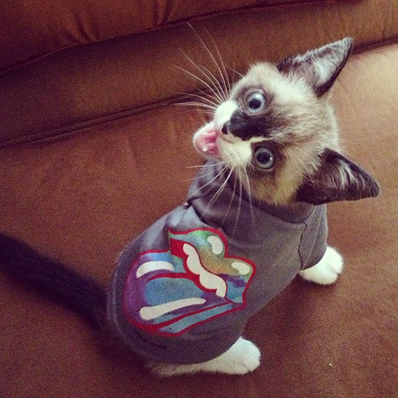 43 самых умилительных Инстаграма 2013 года 43 самых умилительных Инстаграма 2013 года