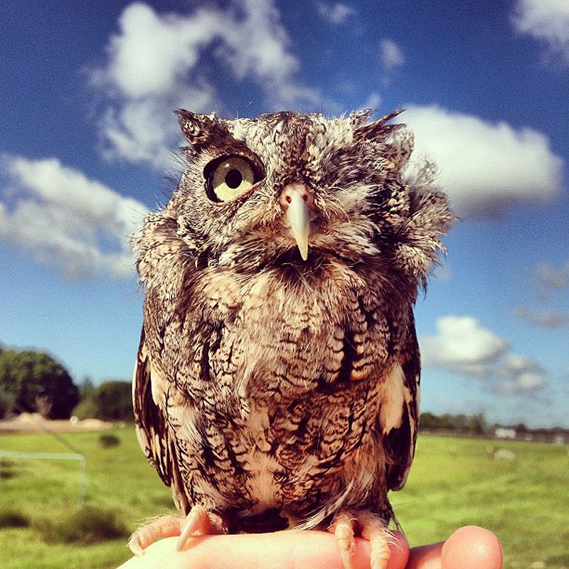 43 самых умилительных Инстаграма 2013 года 43 самых умилительных Инстаграма 2013 года