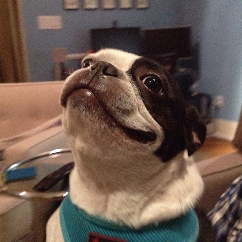 43 самых умилительных Инстаграма 2013 года 43 самых умилительных Инстаграма 2013 года