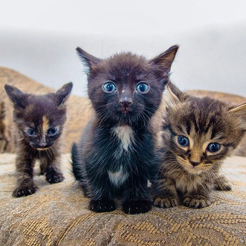 43 самых умилительных Инстаграма 2013 года 43 самых умилительных Инстаграма 2013 года