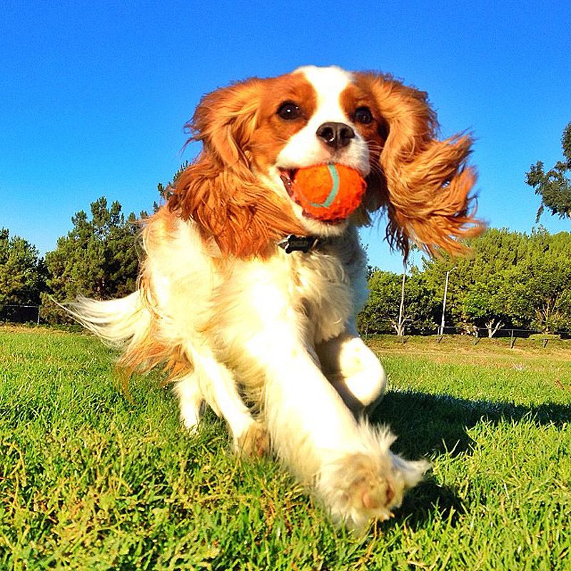 43 самых умилительных Инстаграма 2013 года 43 самых умилительных Инстаграма 2013 года