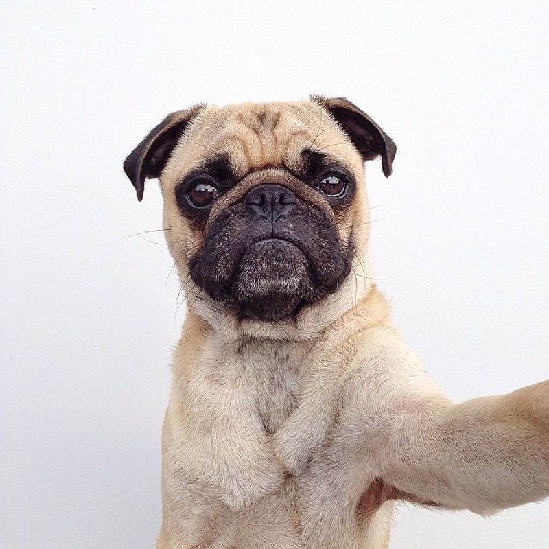 43 самых умилительных Инстаграма 2013 года 43 самых умилительных Инстаграма 2013 года