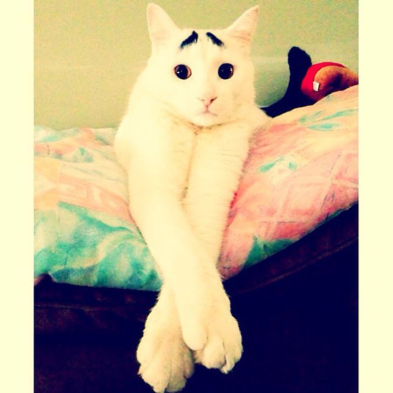 43 самых умилительных Инстаграма 2013 года 43 самых умилительных Инстаграма 2013 года