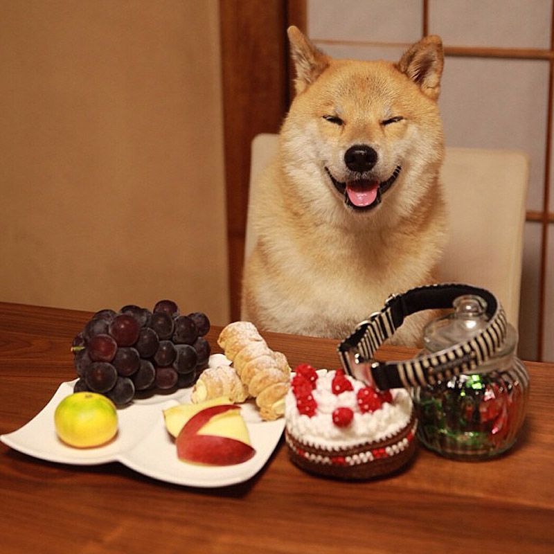 43 самых умилительных Инстаграма 2013 года 43 самых умилительных Инстаграма 2013 года