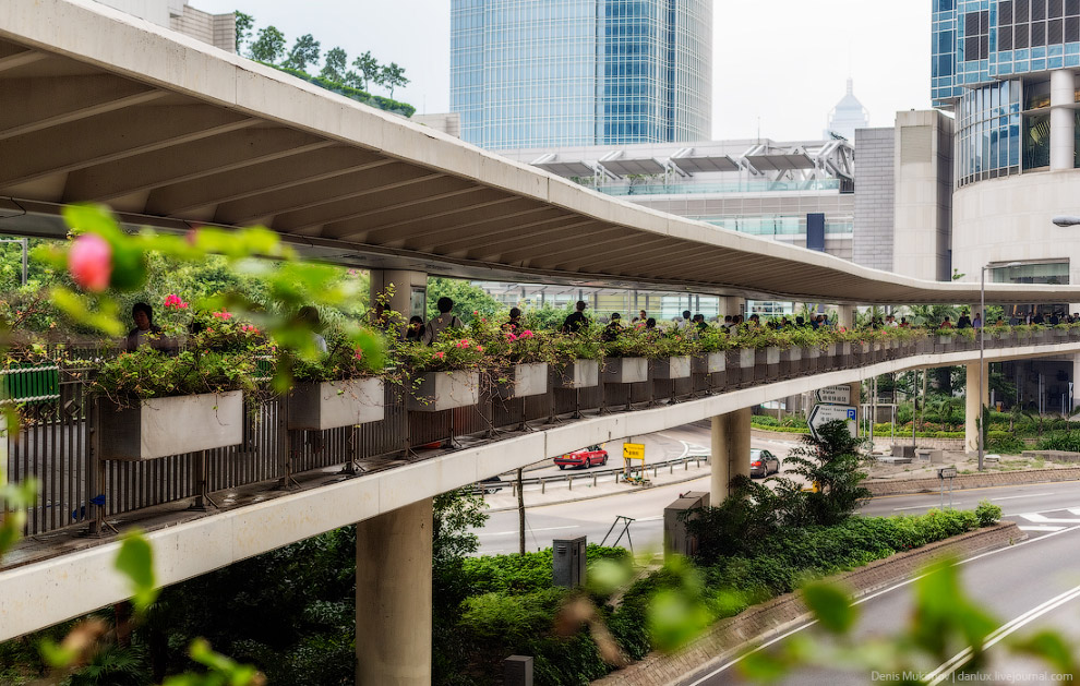 Путешествие по Гонконгу