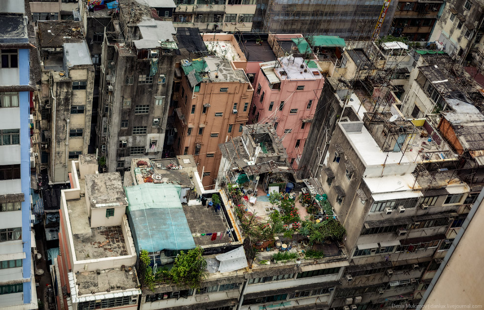 Путешествие по Гонконгу