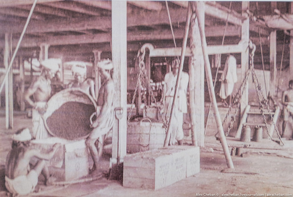 А бывает ли вообще настоящий чай?