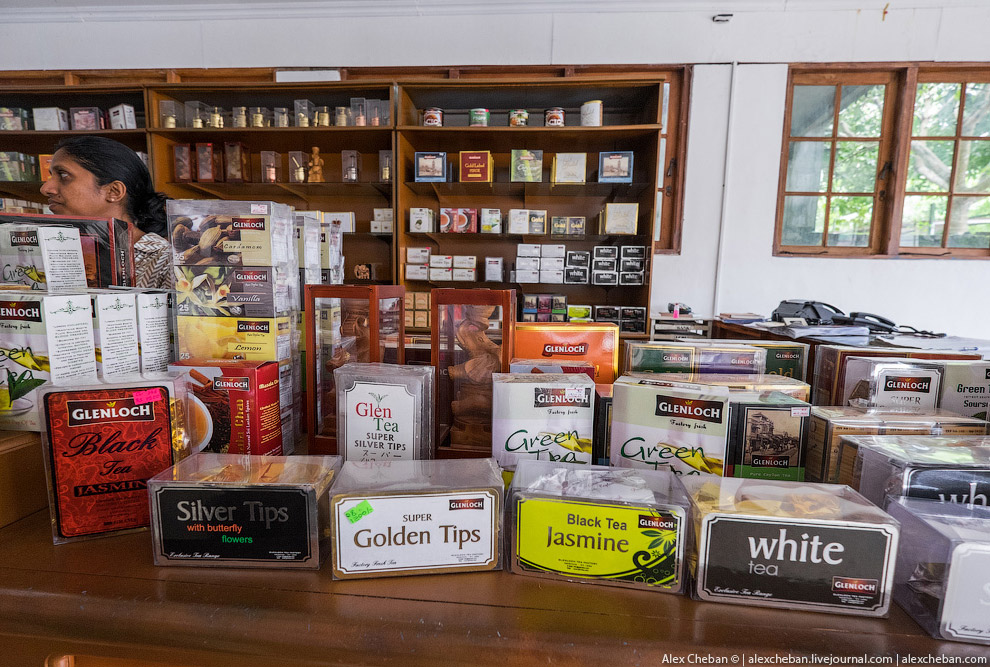 А бывает ли вообще настоящий чай?