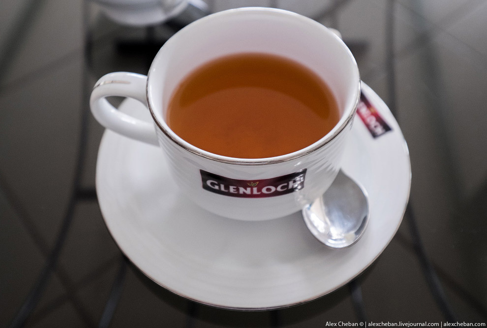 А бывает ли вообще настоящий чай?