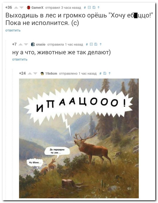 Смешные комментарии из социальных сетей