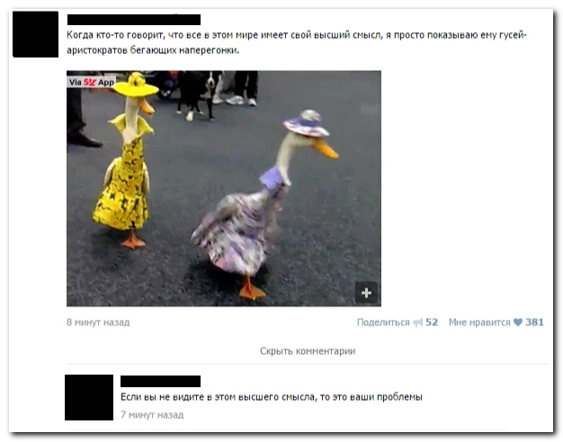 Смешные комментарии из социальных сетей