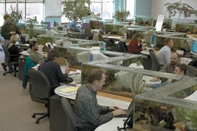Работа в офисе проходит не так скучно, если трудишься в оригинальном окружении