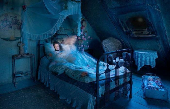 Любопытные факты о сноведениях