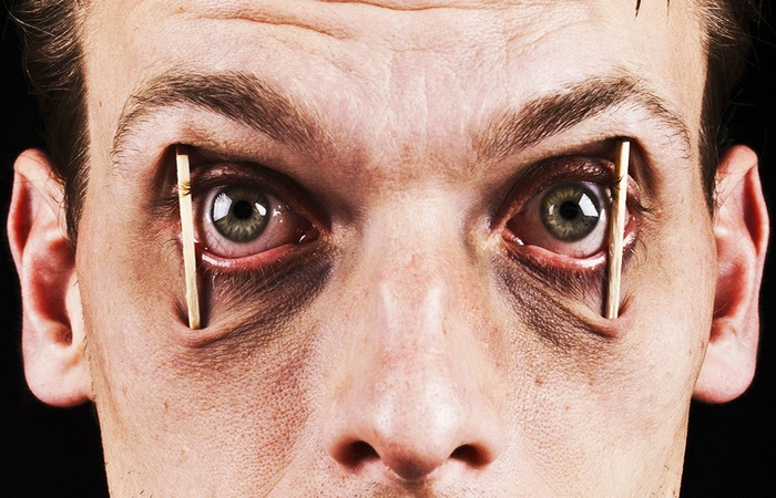 Любопытные факты о сноведениях