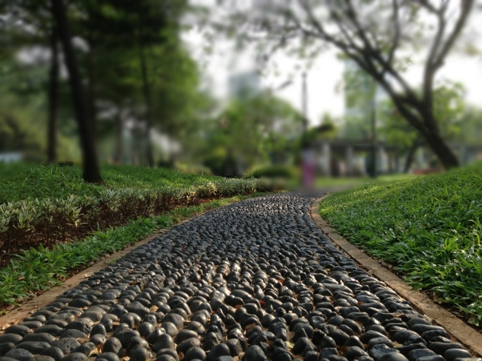 Садовые дорожки, которых так не хватает на наших лужайках перед домом