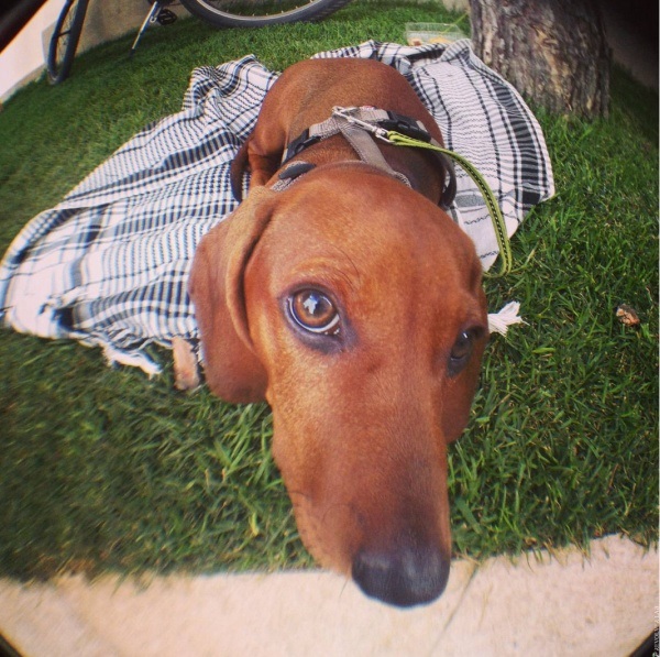 Как сделать отличную фотографию на смартфон Как сделать отличную фотографию на смартфон