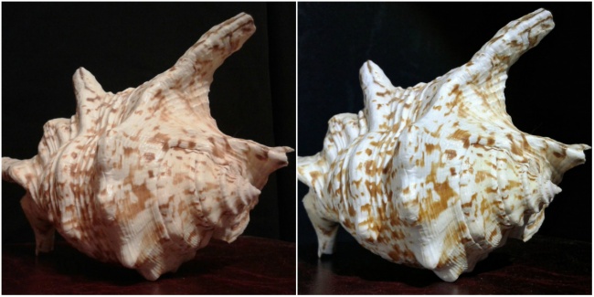 Как сделать отличную фотографию на смартфон Как сделать отличную фотографию на смартфон