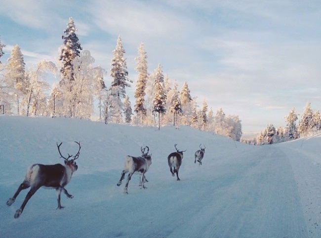 Как сделать отличную фотографию на смартфон Как сделать отличную фотографию на смартфон