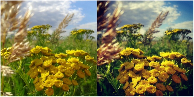 Как сделать отличную фотографию на смартфон Как сделать отличную фотографию на смартфон