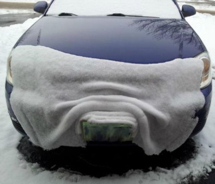 Порция картинок