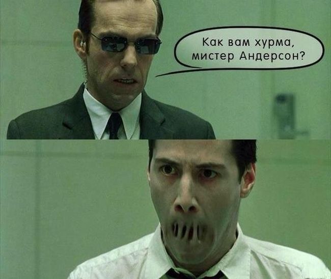 Порция картинок