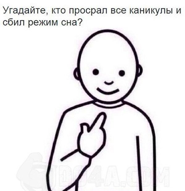 Порция картинок