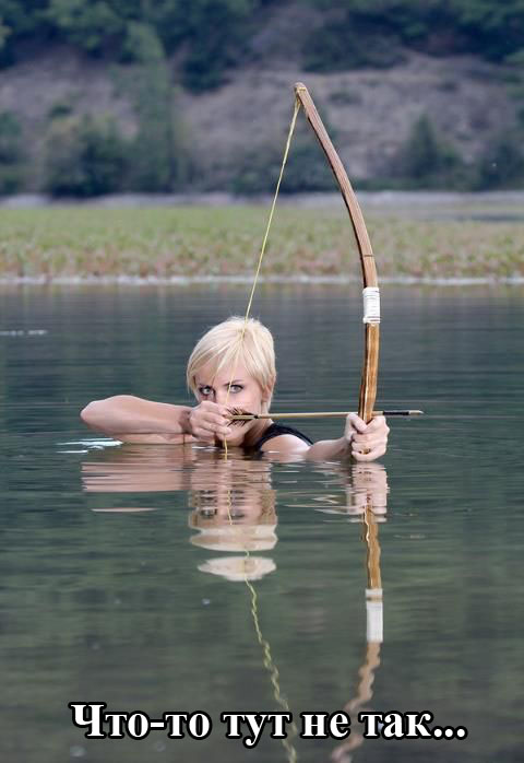 Порция картинок