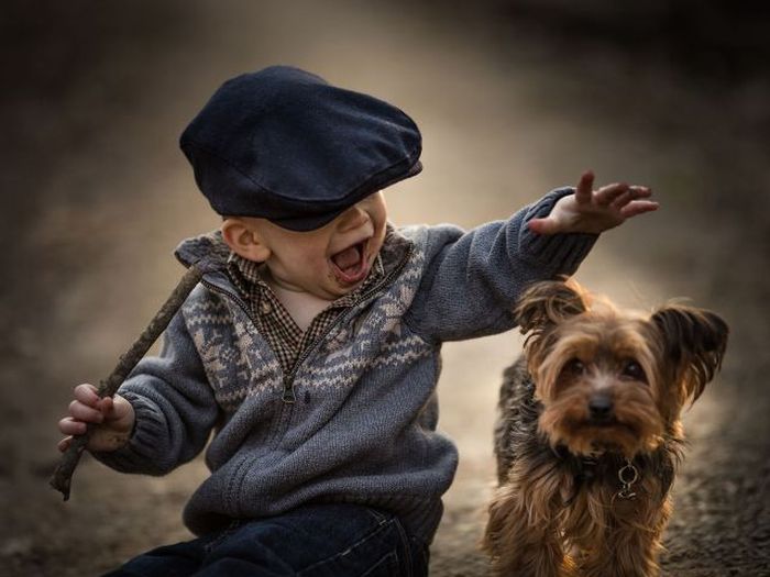 Порция картинок