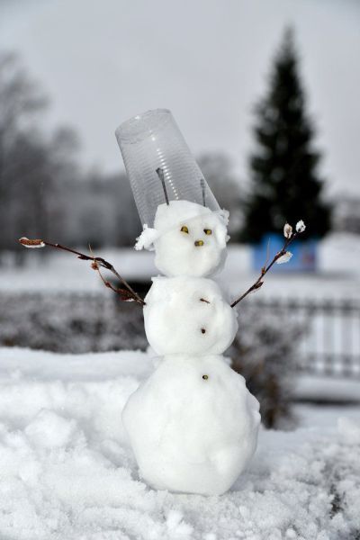 Порция картинок