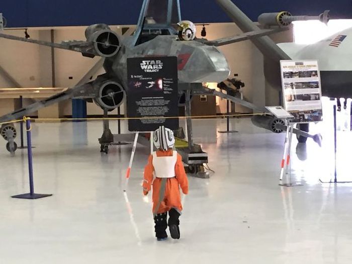 Порция картинок