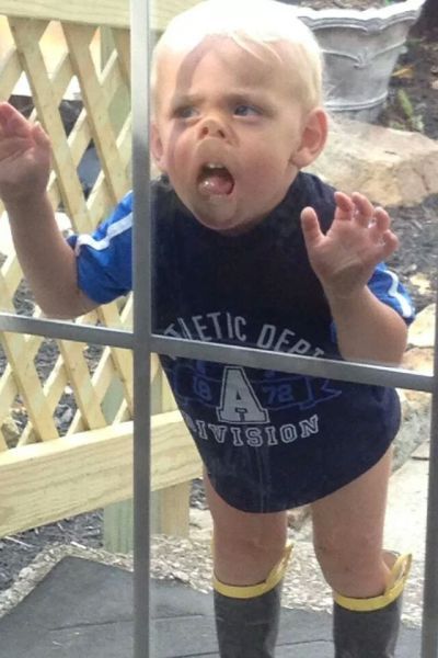 Порция картинок