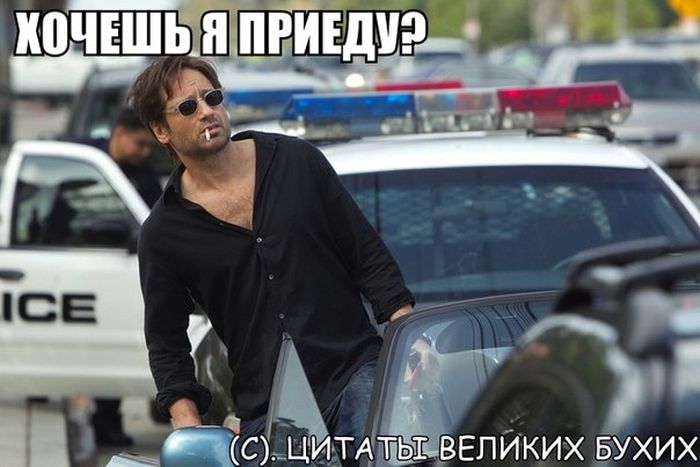 Порция картинок