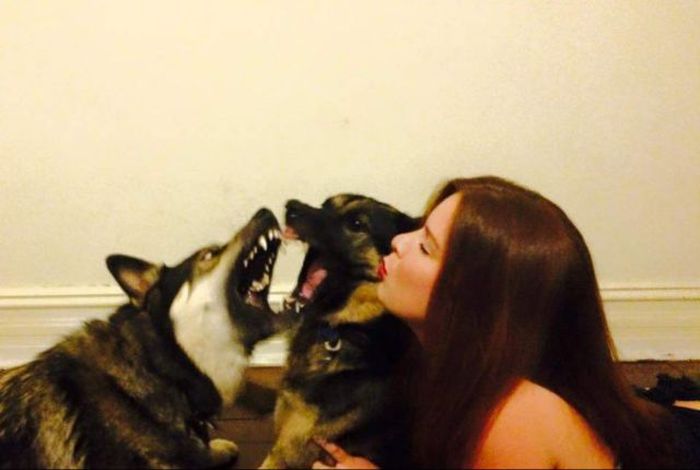 Порция картинок