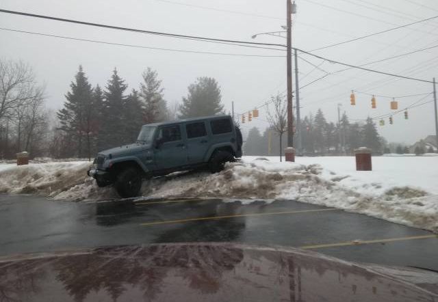 Прикольные картинки