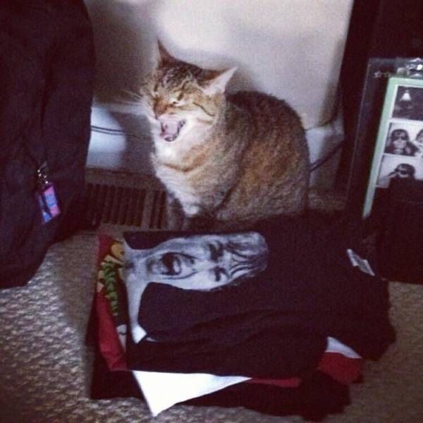 Прикольные картинки