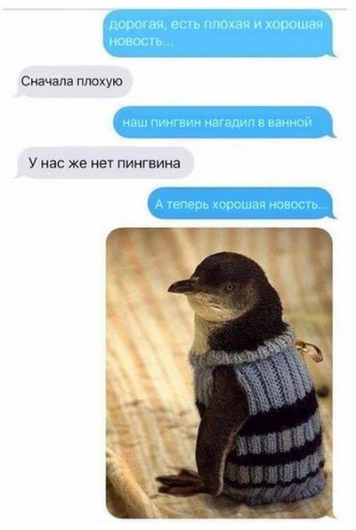 Прикольные картинки