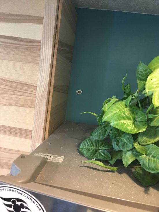 Шальная пуля и гипсокартонные стены