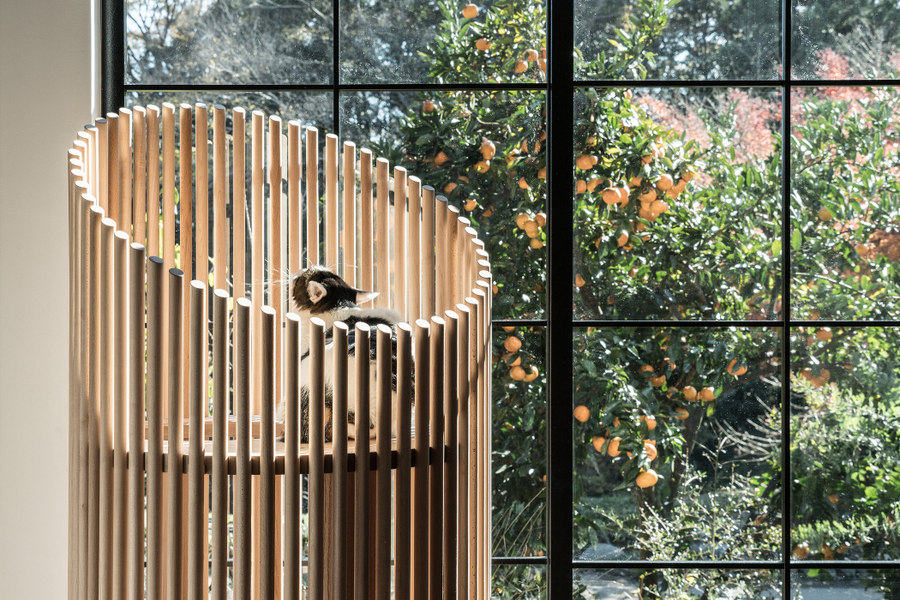 Домик для котов за полмиллиона рублей от японского дизайнера Домик для котов за полмиллиона рублей от японского дизайнера