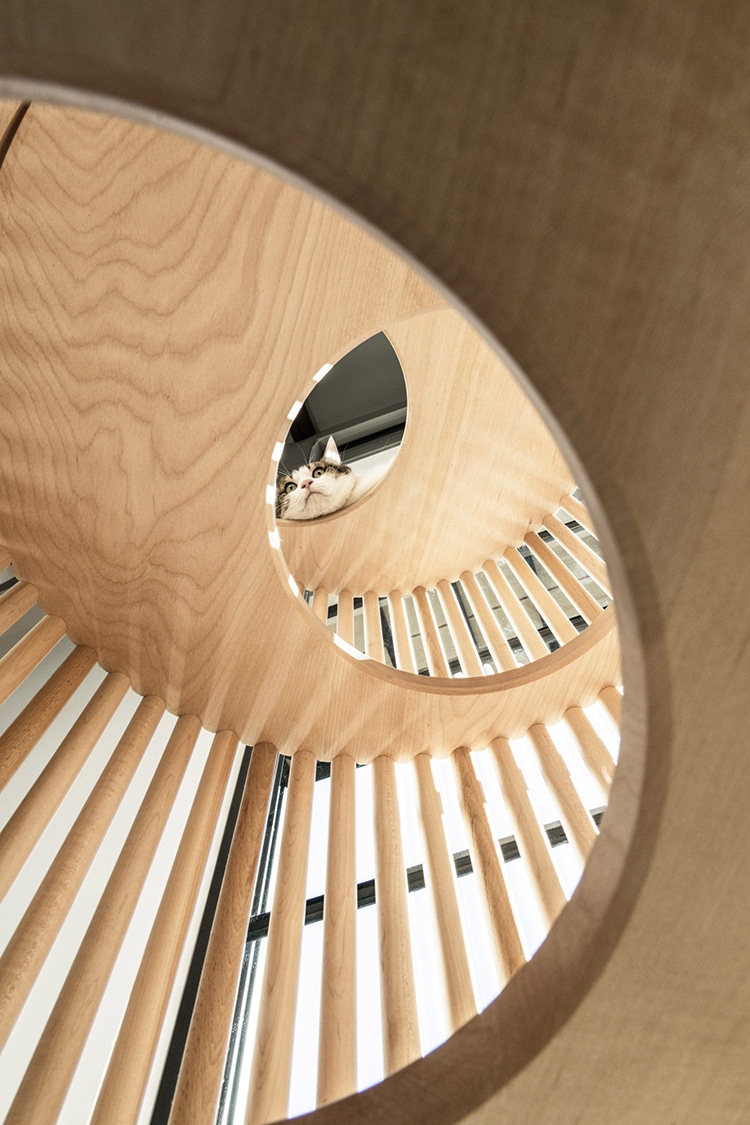 Домик для котов за полмиллиона рублей от японского дизайнера Домик для котов за полмиллиона рублей от японского дизайнера