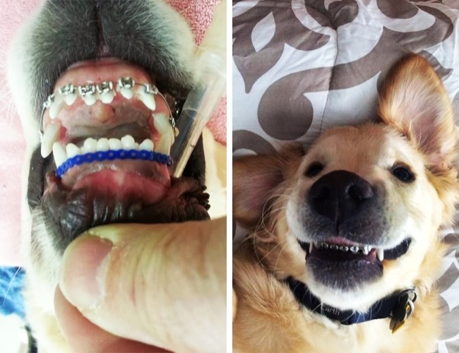 27 вещей, которых вы наверняка еще не видели