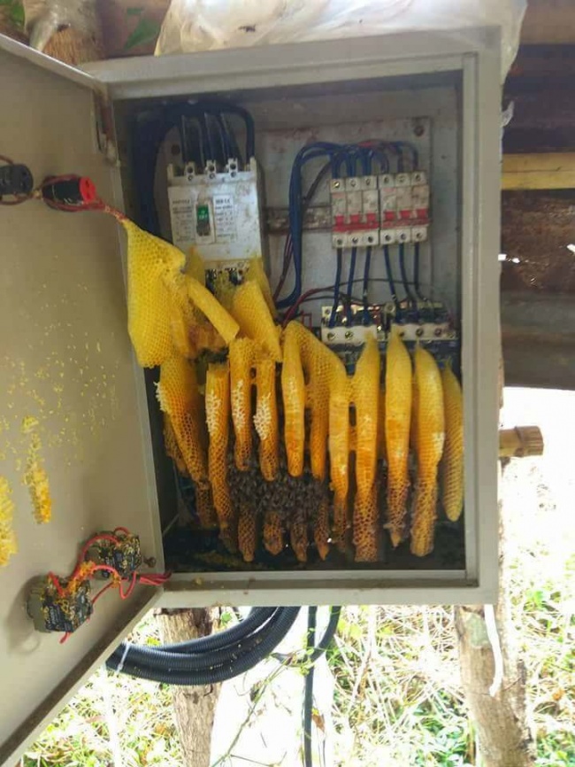 27 вещей, которых вы наверняка еще не видели