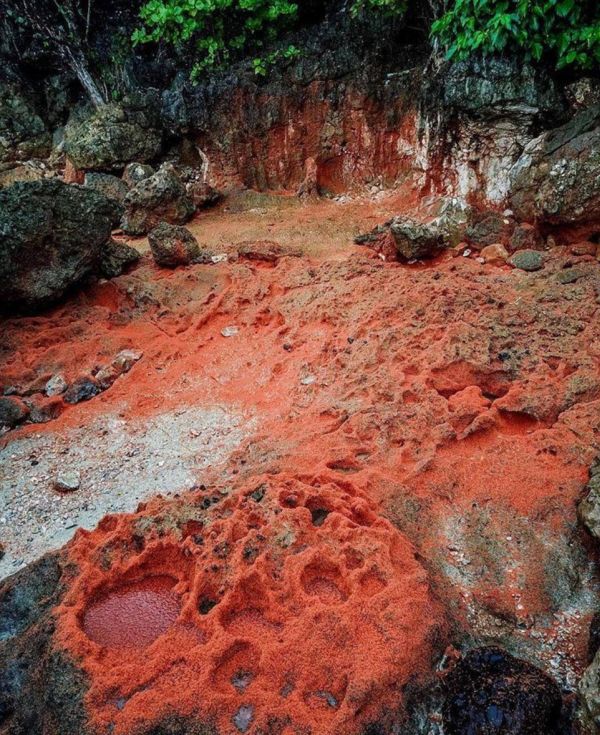 Розовые пятна покрыли остров Рождества в Индийском океане