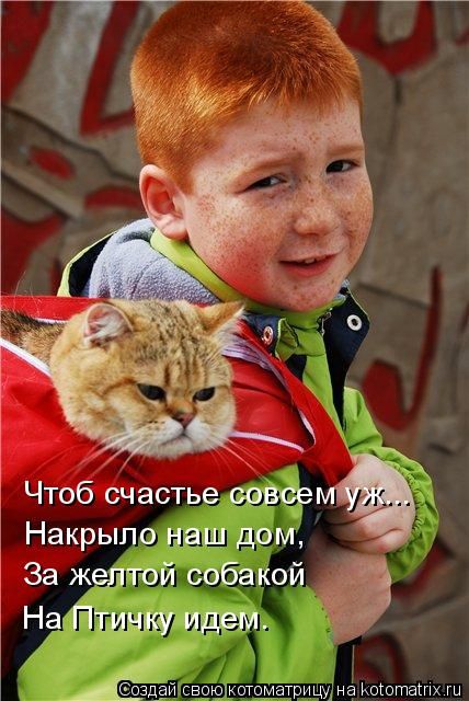 Лучшие котоматрицы недели