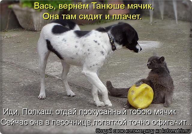 Лучшие котоматрицы недели