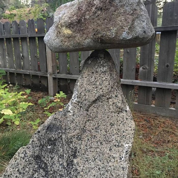 Подборка странных фото