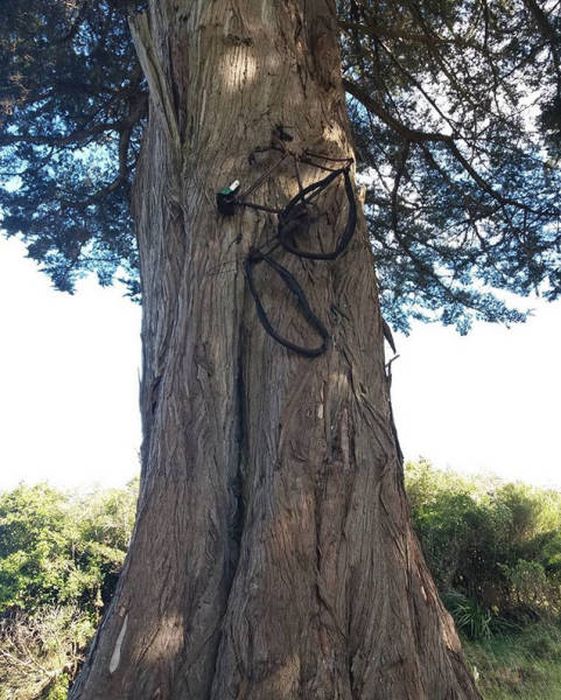 Подборка странных фото