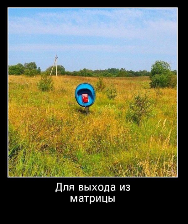 Демотиваторы